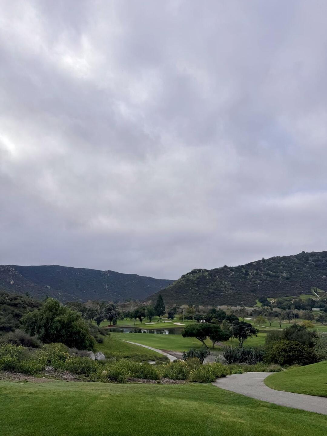 (Photo submitted by VanDeezy on 01/05/2026)