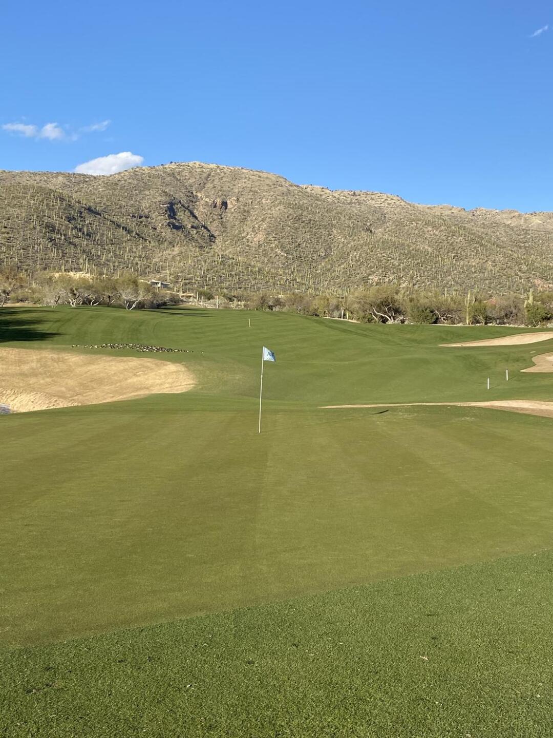 (Photo submitted by u000005158466 on 02/16/2023)