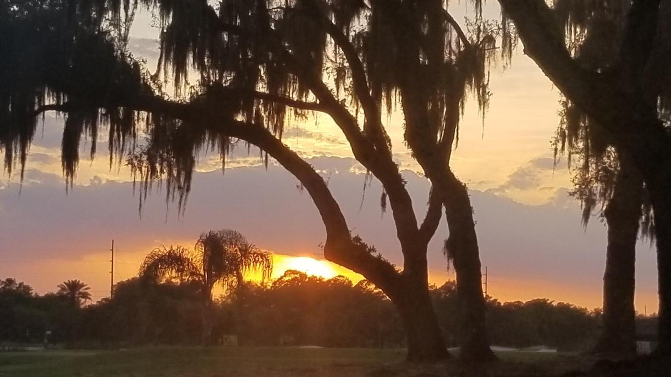 (Photo submitted by hxV5FfW16DltxvV2VHza on 03/26/2020)