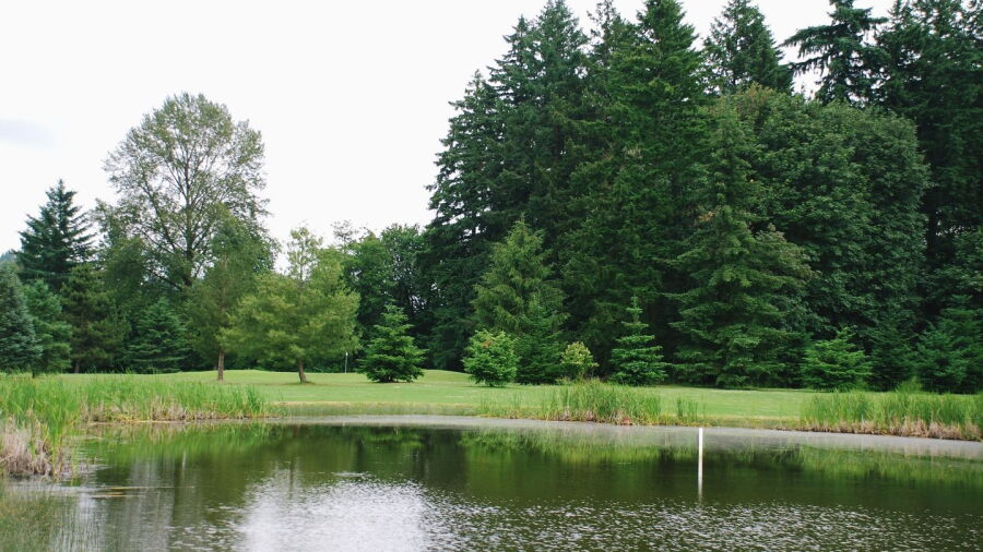 Kohl Creek GC