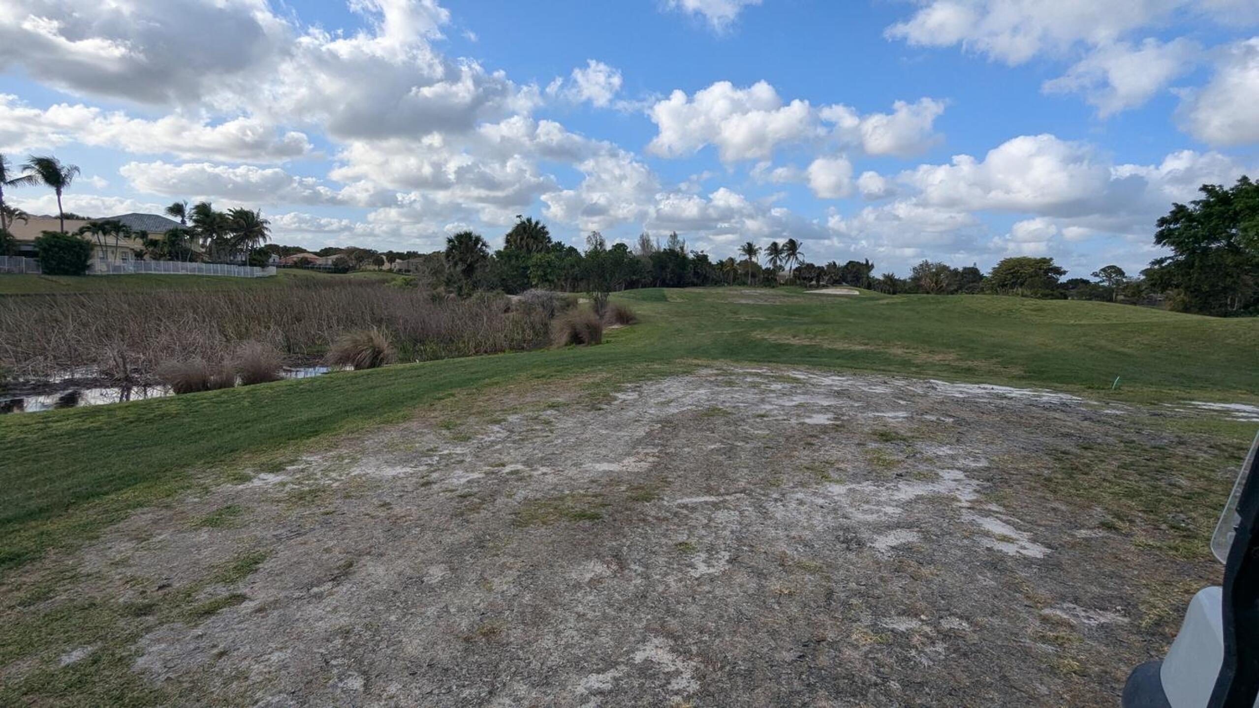 (Photo submitted by songyop on 04/13/2026)