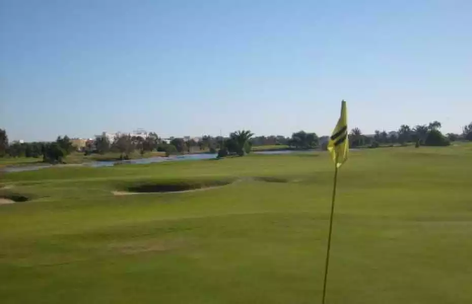 Palm Links GC: #11