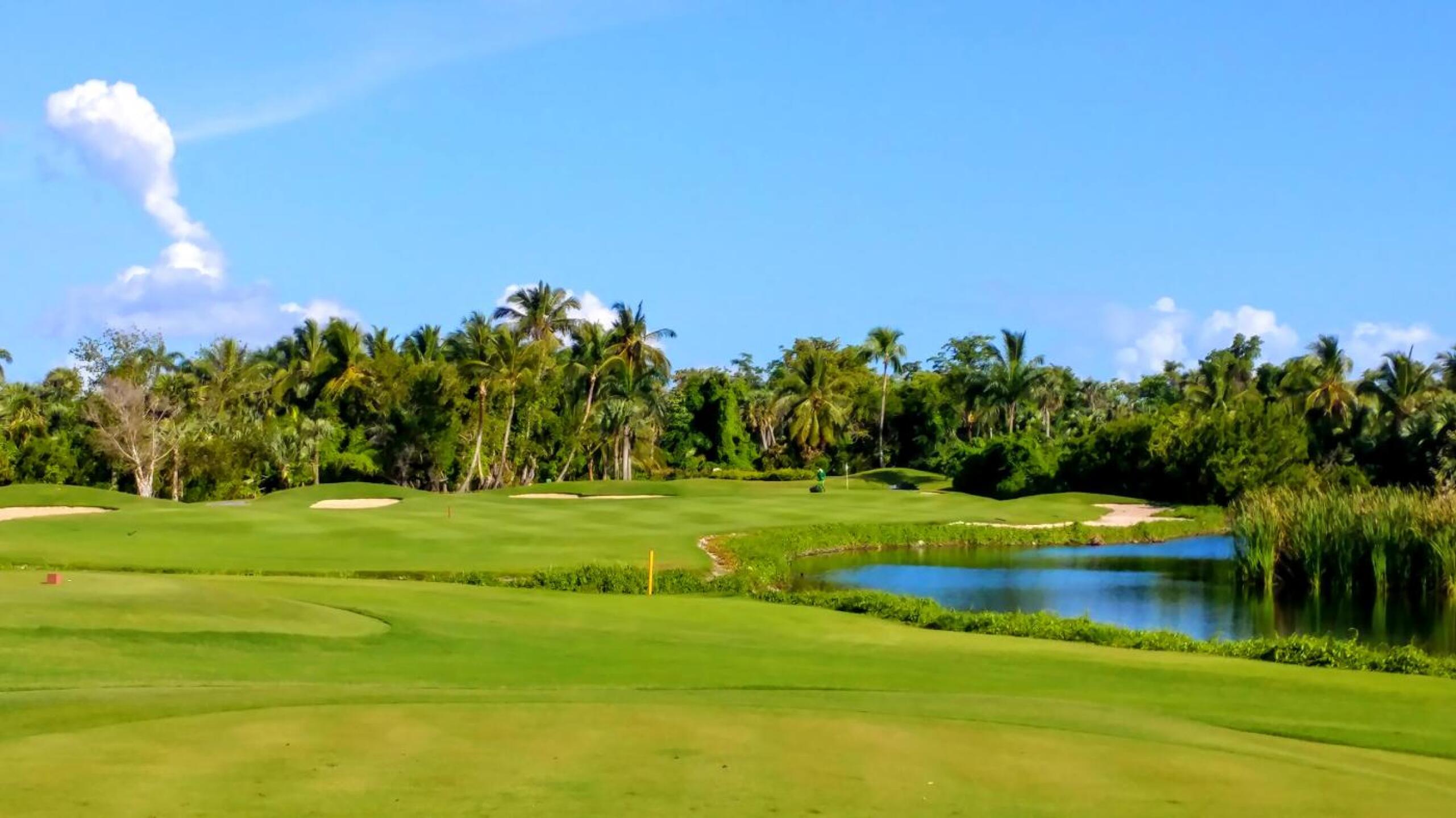 (Photo submitted by caw2728 on 01/06/2020)