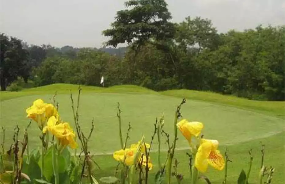 Valley GCC - North Executive