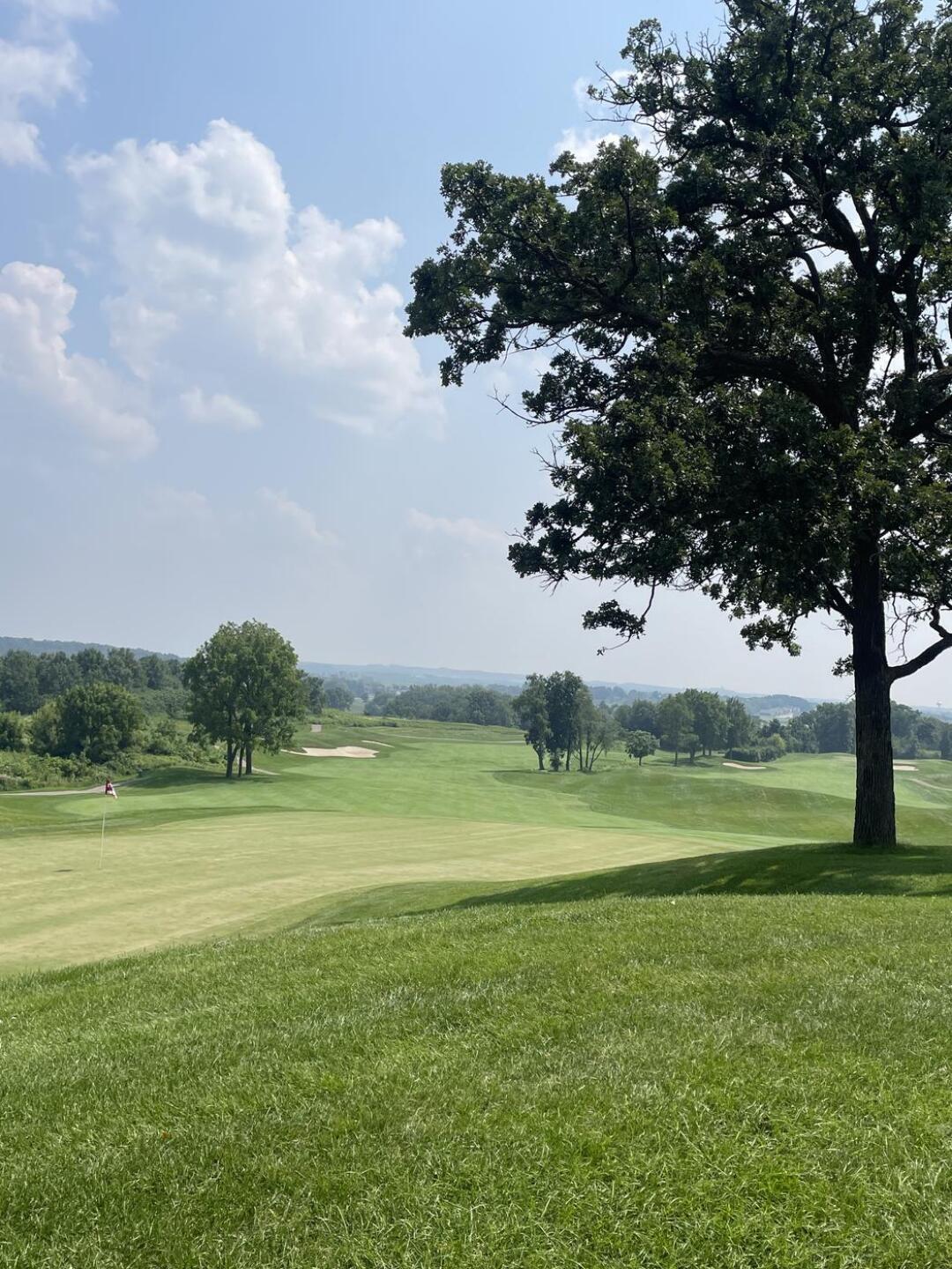 (Photo submitted by xpops4x on 08/03/2025)