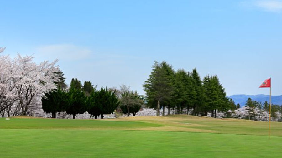Union Ace GC