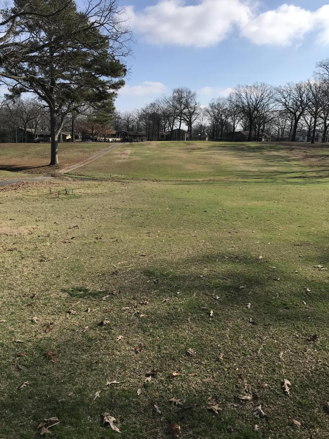 Winter golf (Photo submitted by u194231244 on 01/15/2022)