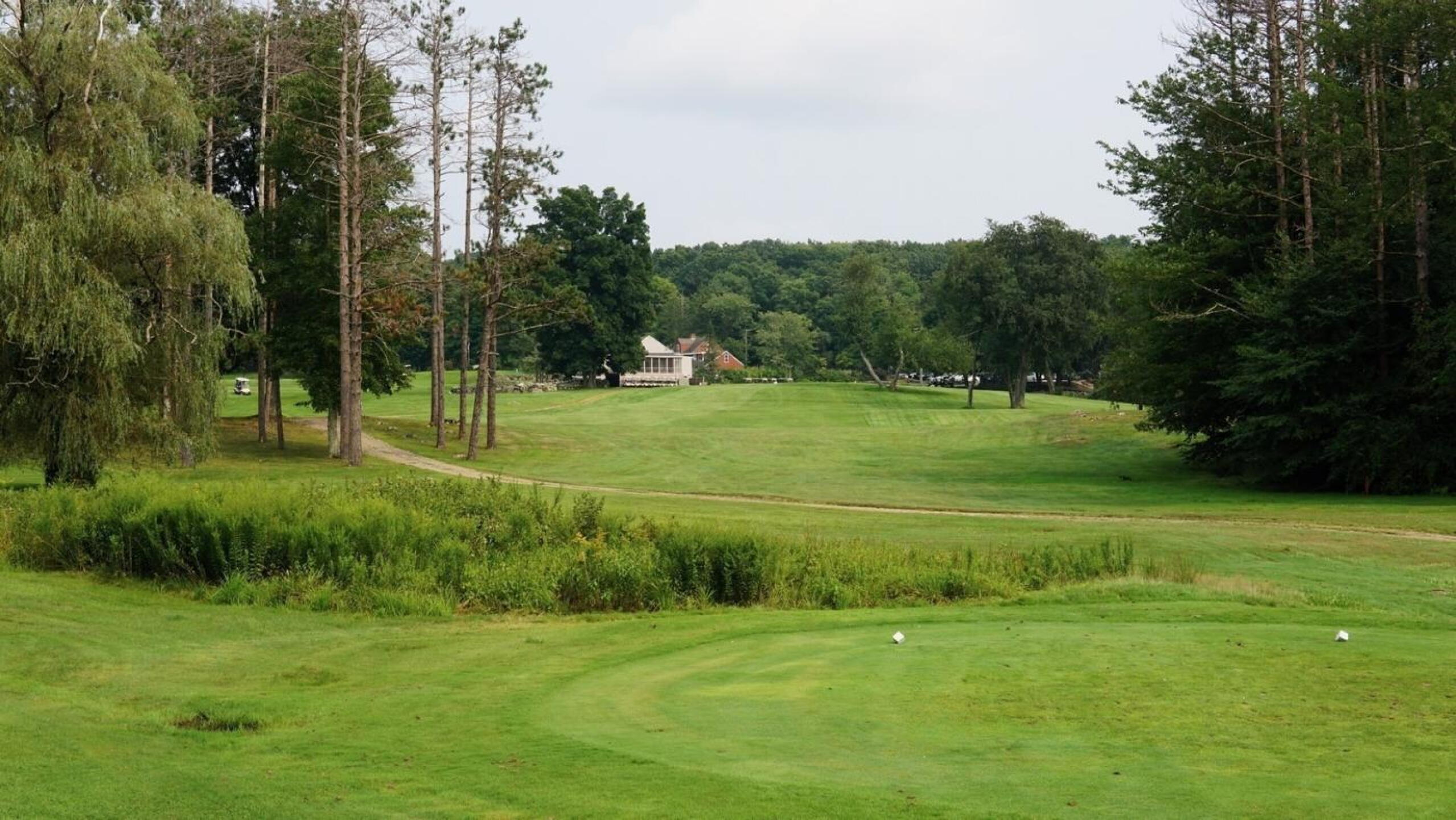 The sixth is a quirky but tough golf hole, with a pond (which is out of view here) guarding the green’s left side. (Photo submitted by AptlyLinked on 08/21/2024)