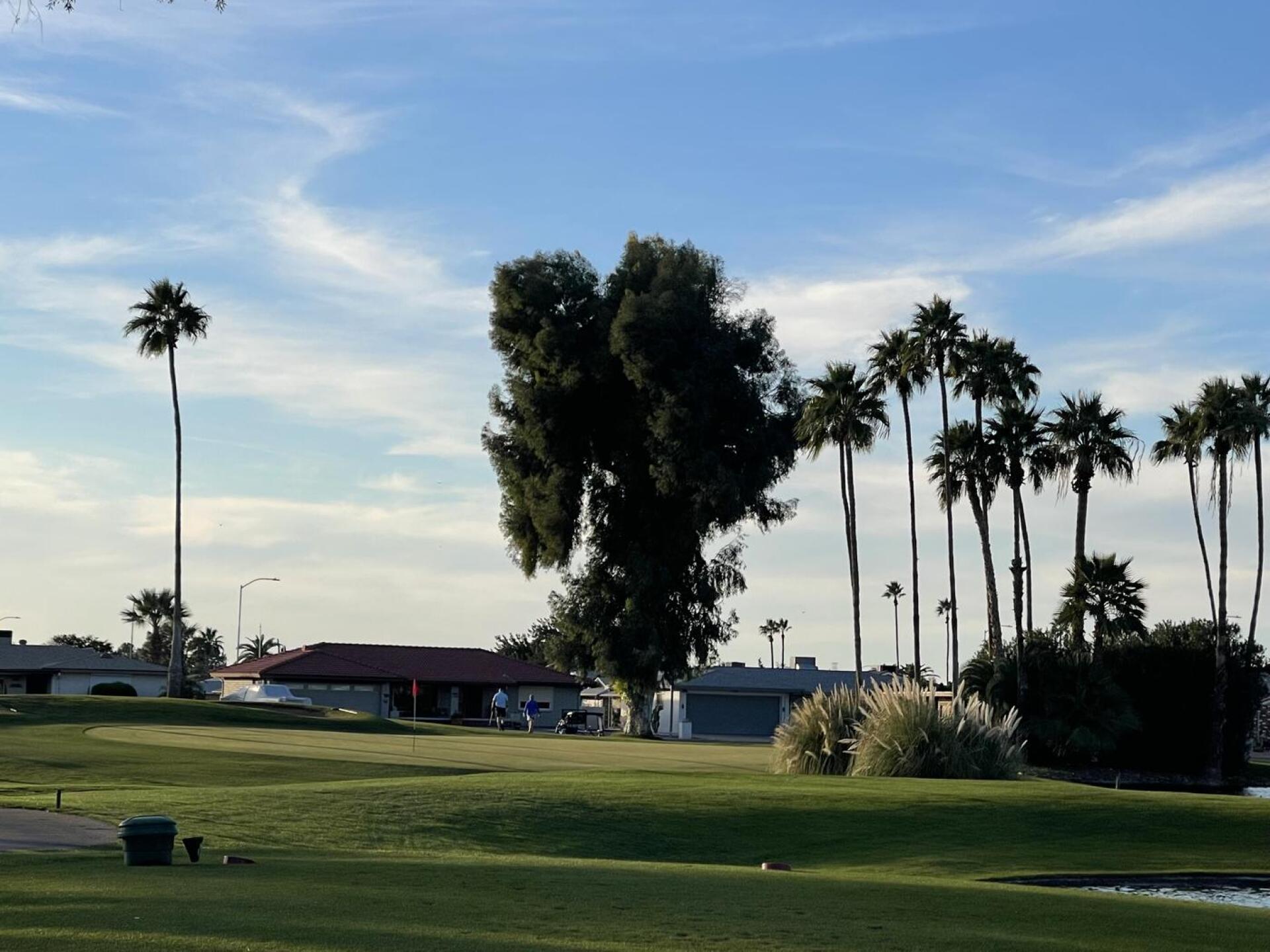 (Photo submitted by otnHFvULk7Ve7v5oL4WD on 01/24/2026)