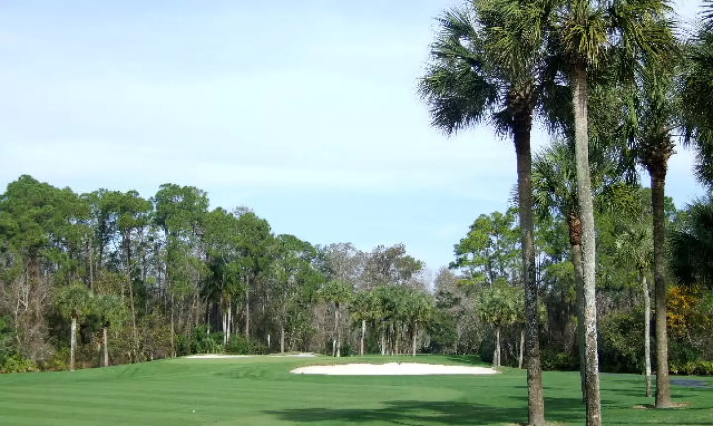 Palm Golf Course at Walt Disney World - No.17