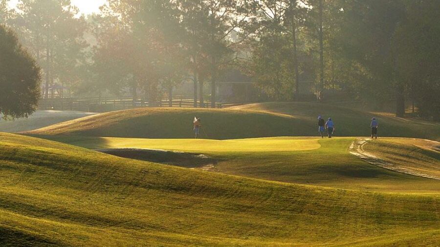 Black Bear GC