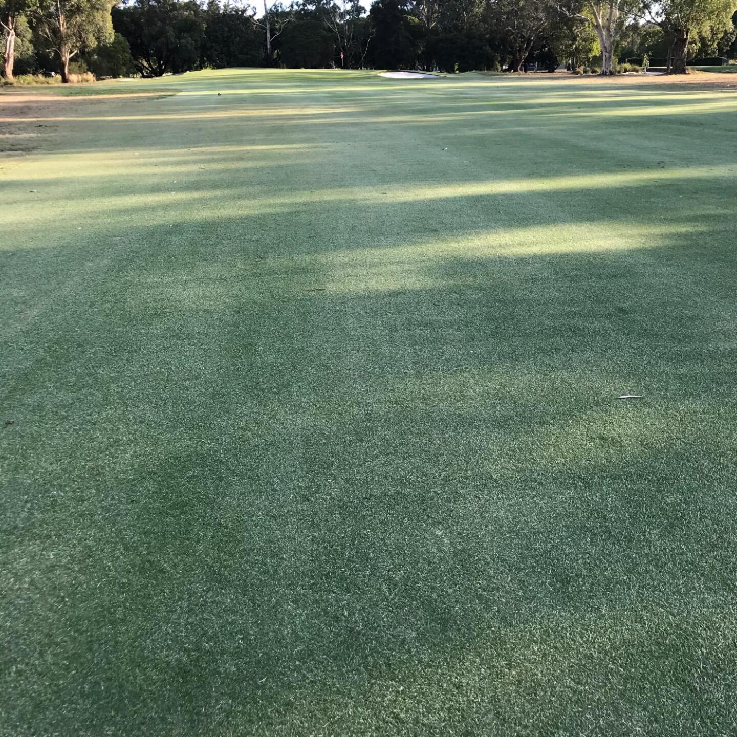 Lush fairways (Photo submitted by theglasseyegolfer on 01/02/2020)