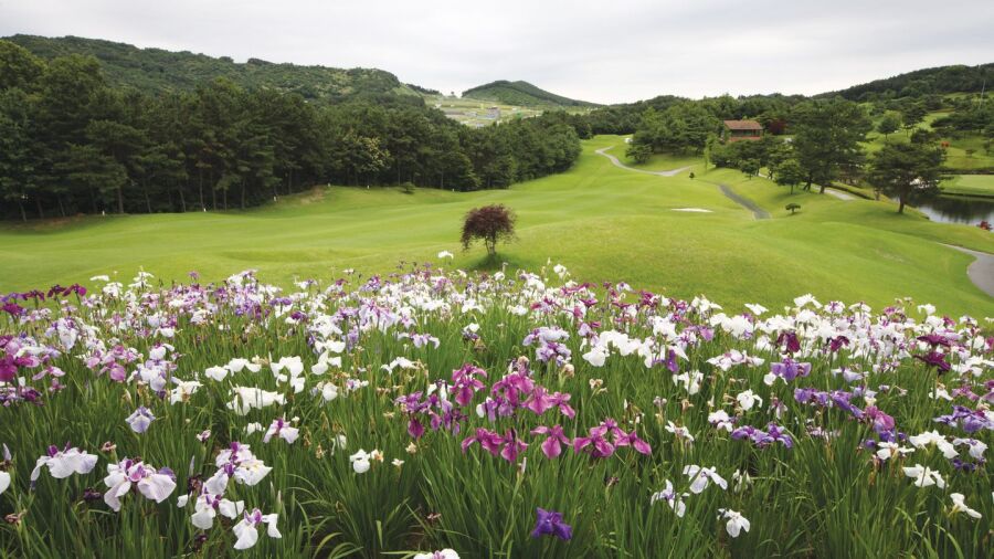 The Woo Jeong Hills CC: #12