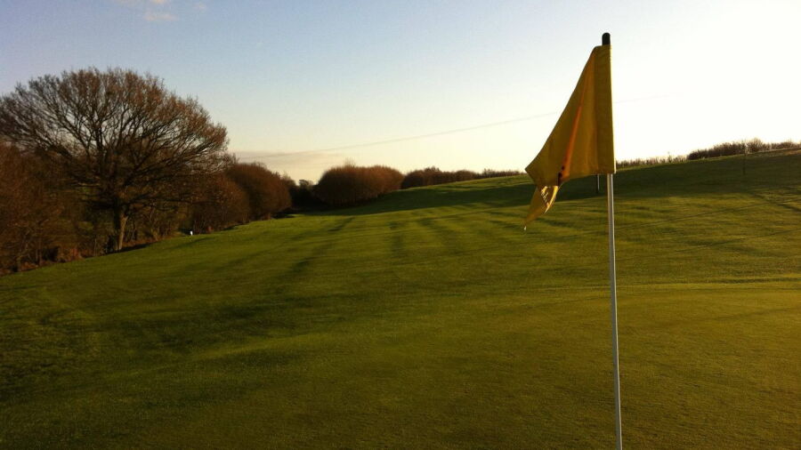 Avisford Park GC: #17