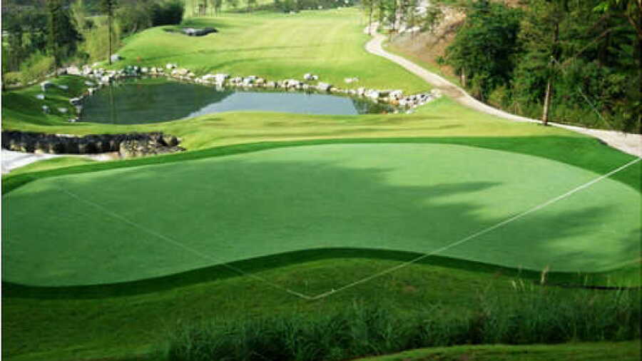 Summit CC - K Nine: #8