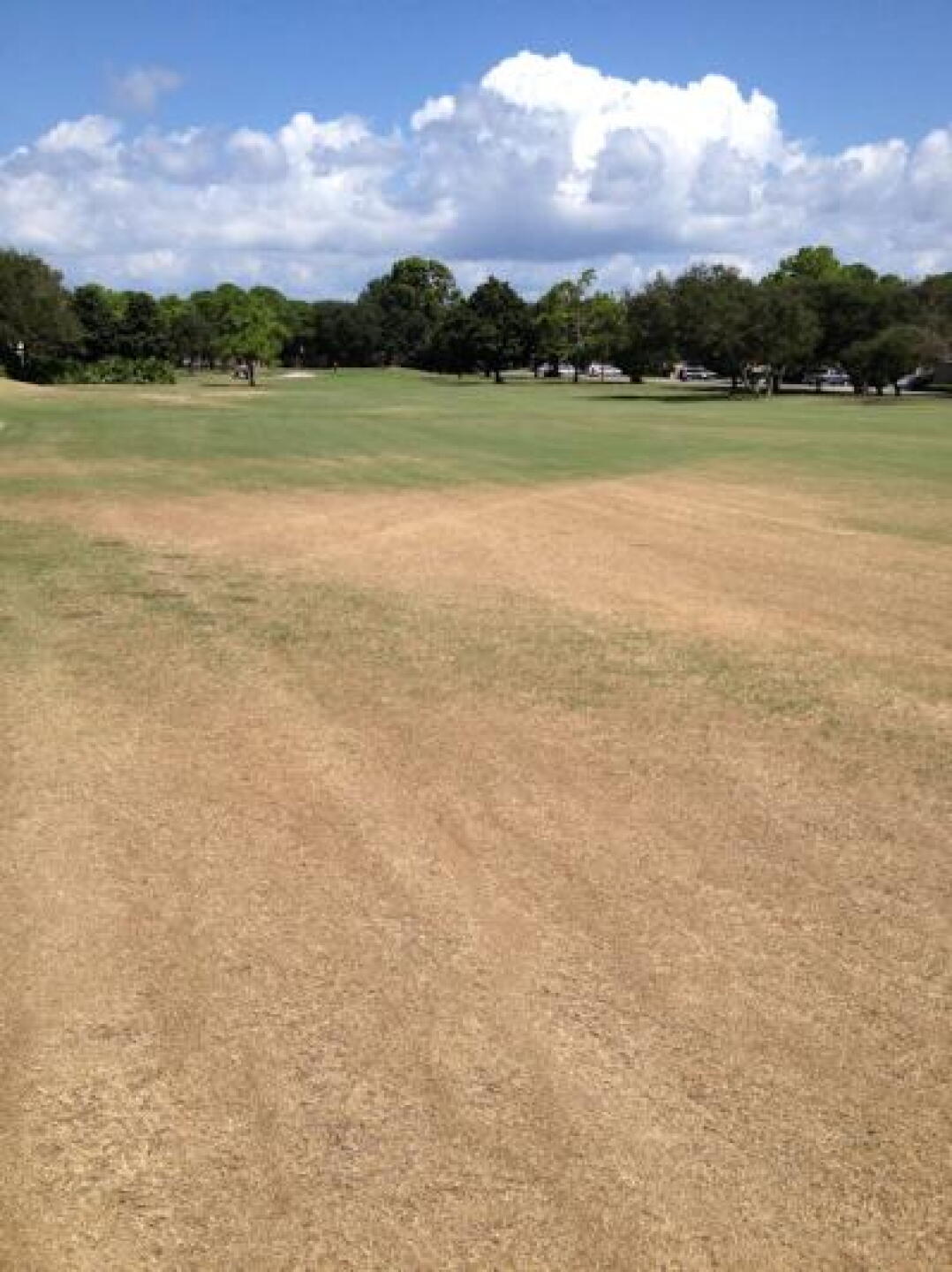Fairway (Photo submitted by Outbreak on 09/20/2013)