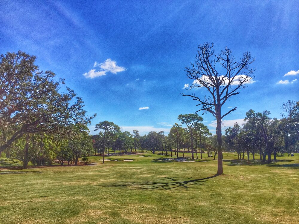 Innisbrook Copperhead hole 5