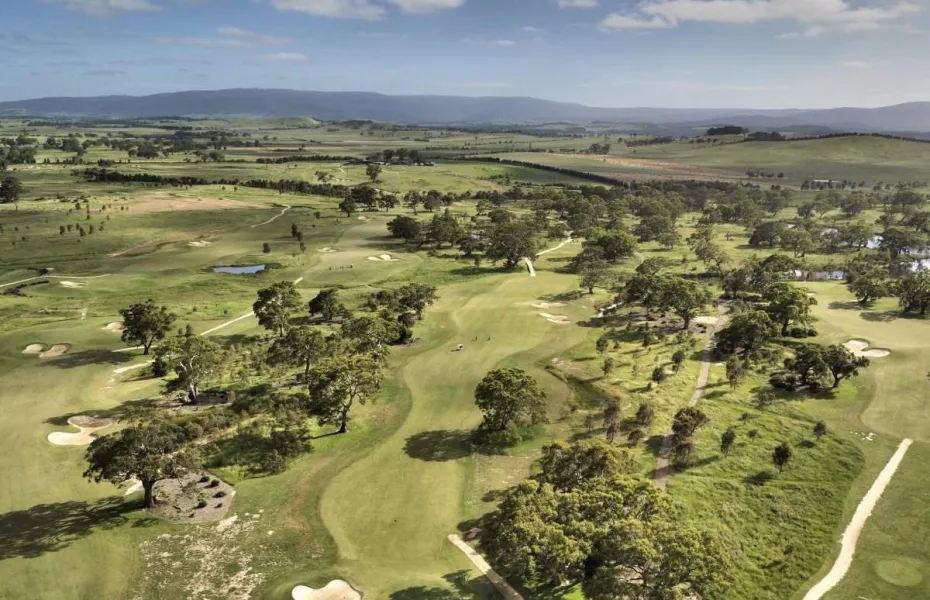 Growling Frog: aerial view