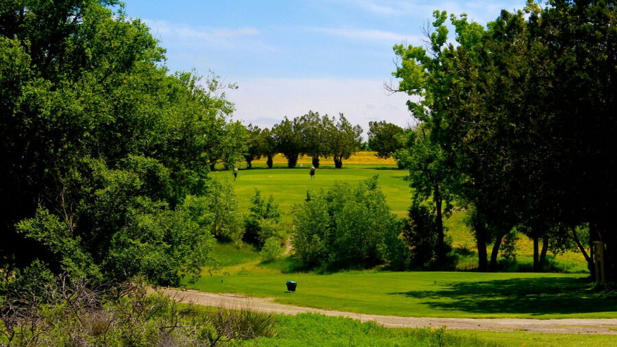 Twisted Elms GC