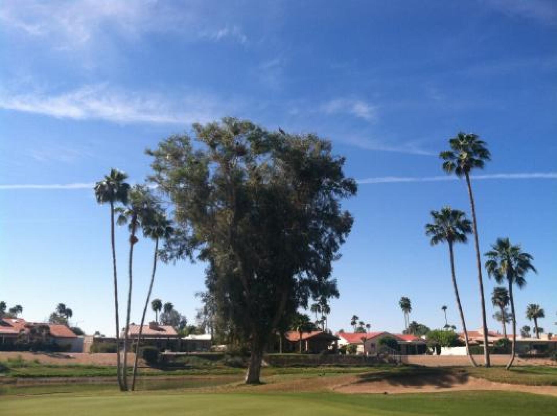 (Photo submitted by u000006818327 on 03/18/2014)