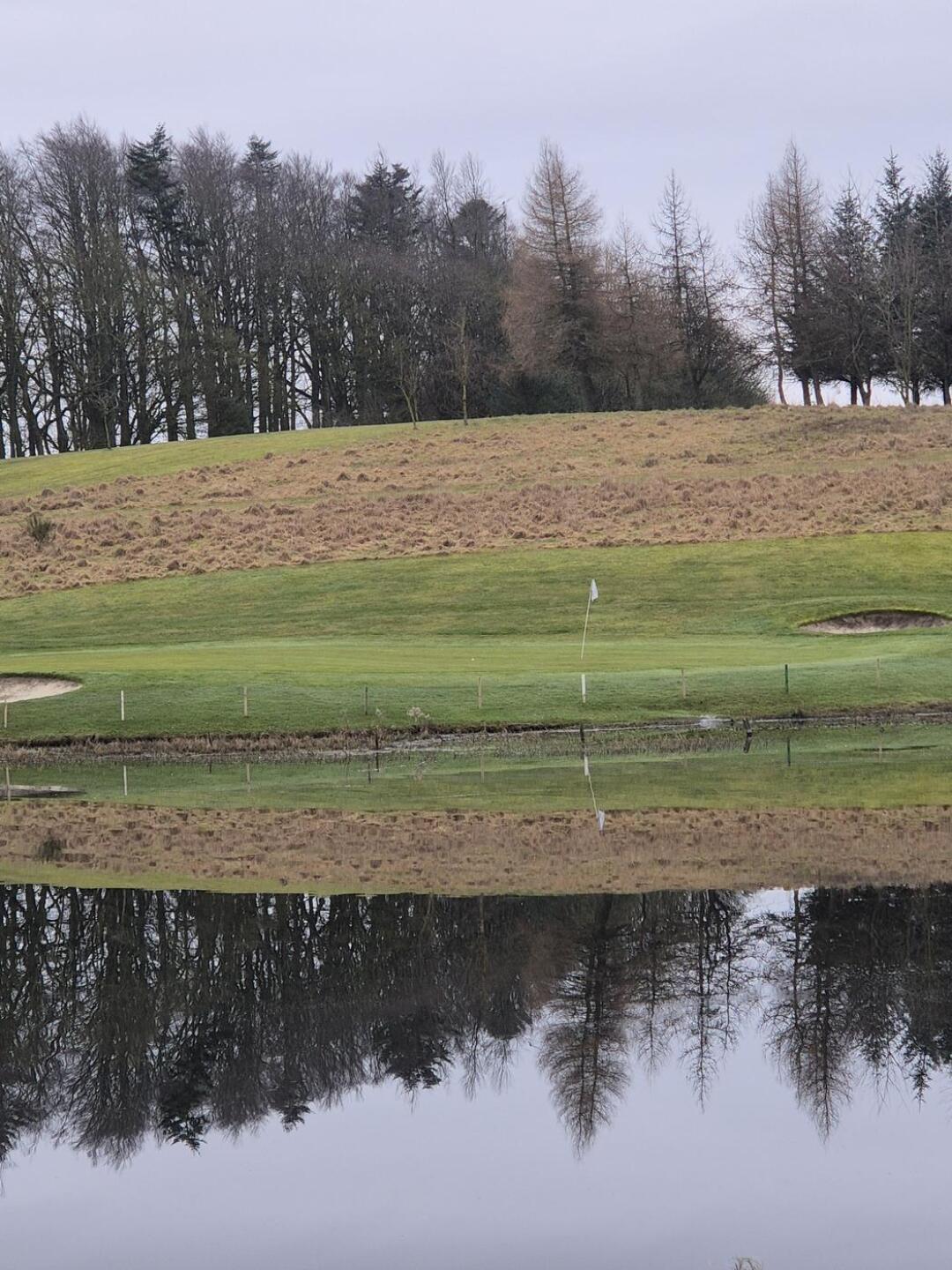 (Photo submitted by Jk07yskCocXPM00Vin2f on 03/05/2026)