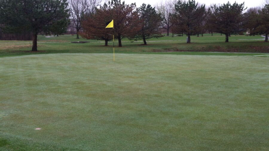Fox Run GC: #14
