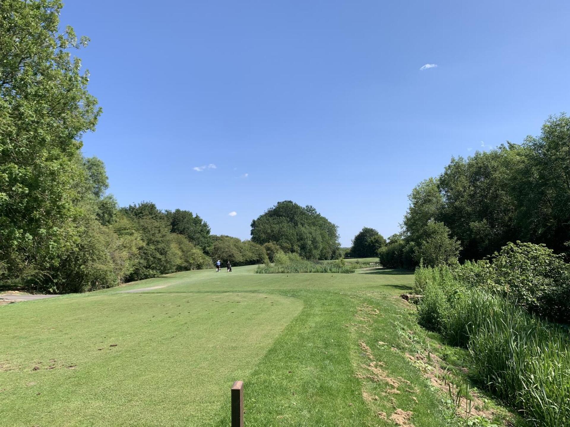 (Photo submitted by LmZcSmEFawJNxsrJXezy on 06/19/2025)