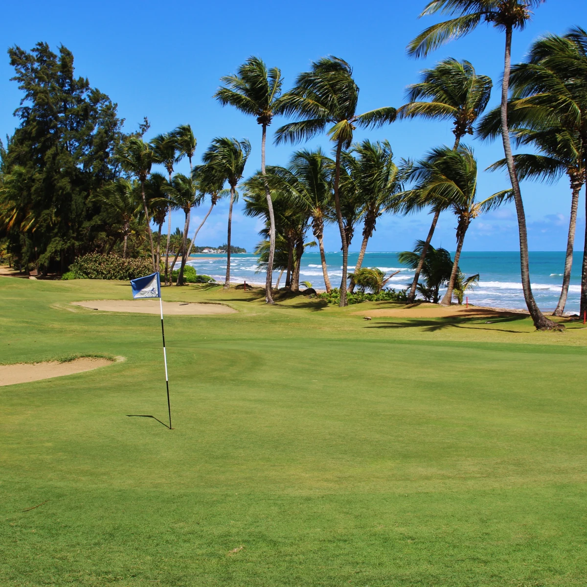 Golfers' Choice 2021: Best golf courses in Puerto Rico