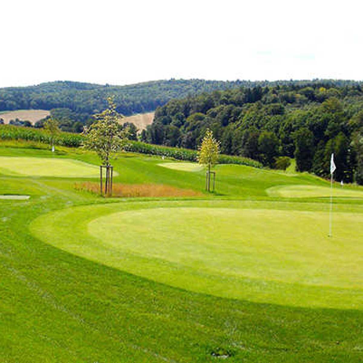 HeidelbergLobenfeld Golf Club 6hole Short Course in Lobbach
