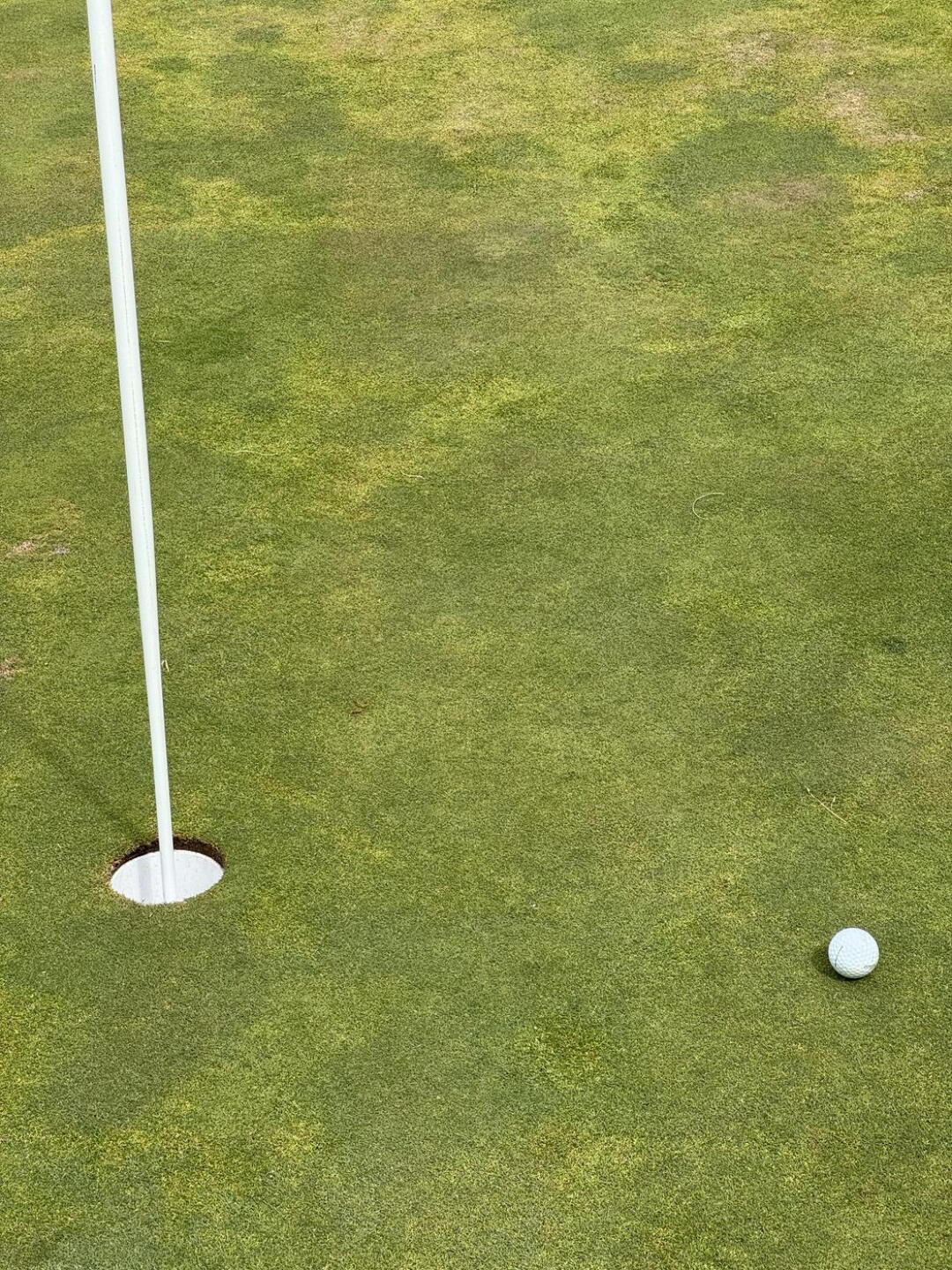 Par 3 17. Inside 2 ft.for my first ever par! (Photo submitted by Peter6445678 on 06/07/2026)