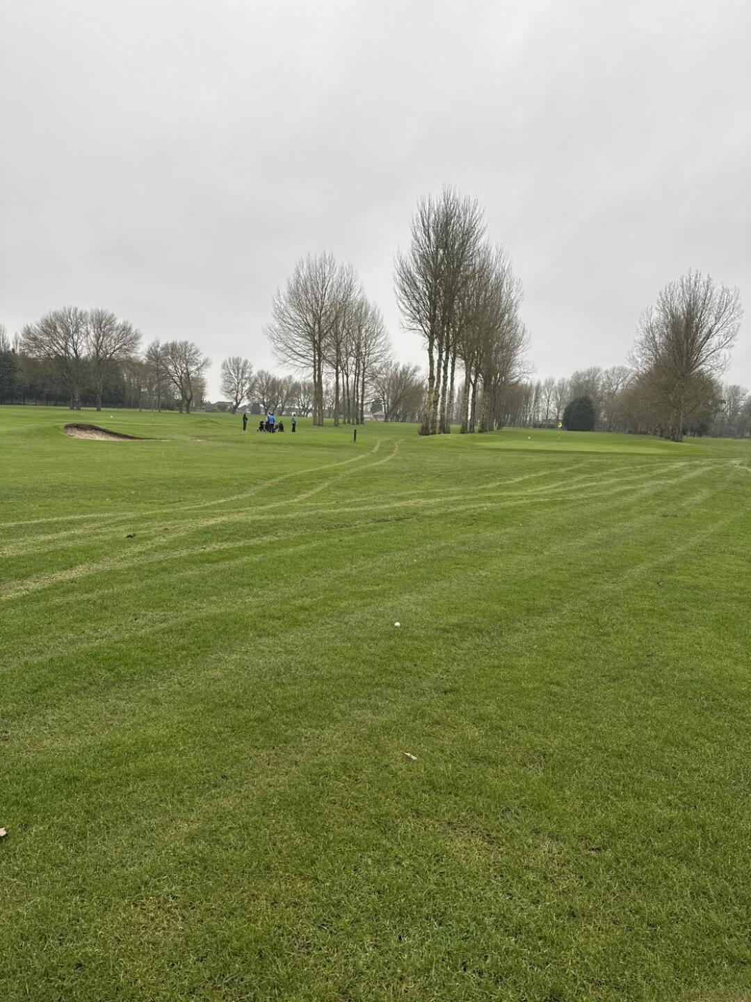 (Photo submitted by Jayma1971 on 01/20/2025)