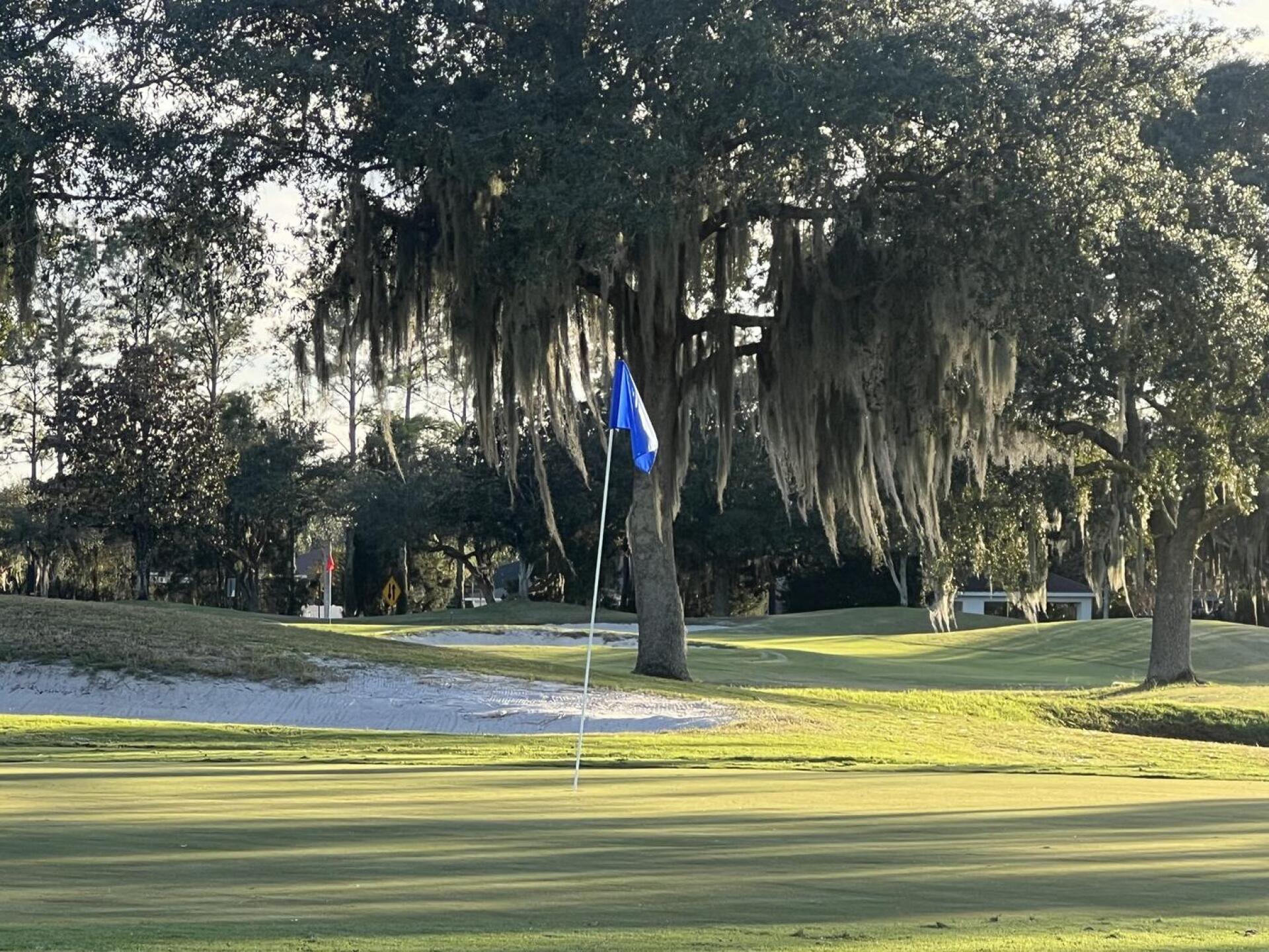 (Photo submitted by 2dnV7Yn31ZIDSoRd563v on 12/07/2023)