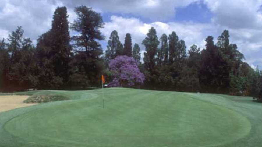 Jockey GC