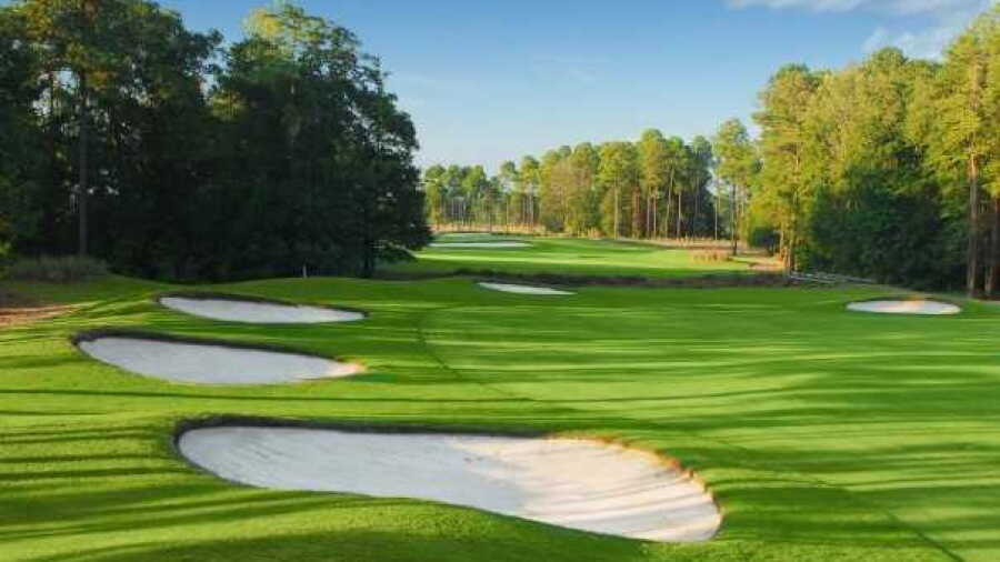 Wild Wing Plantation - Hummingbird: #7