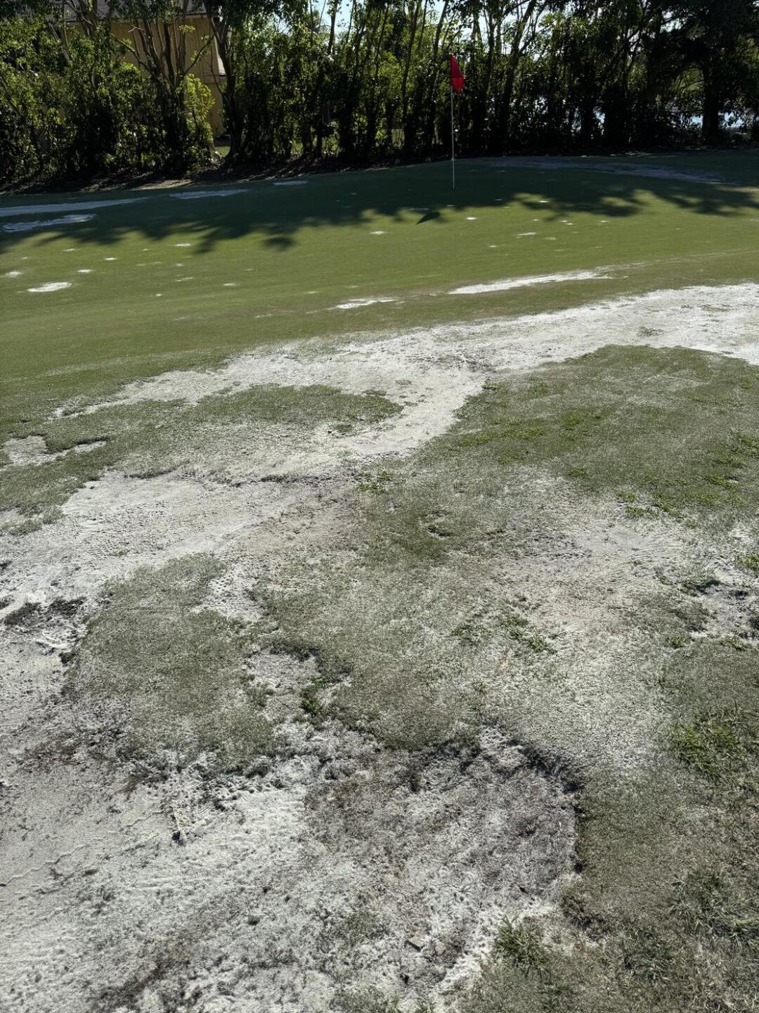 (Photo submitted by george3826 on 03/28/2026)