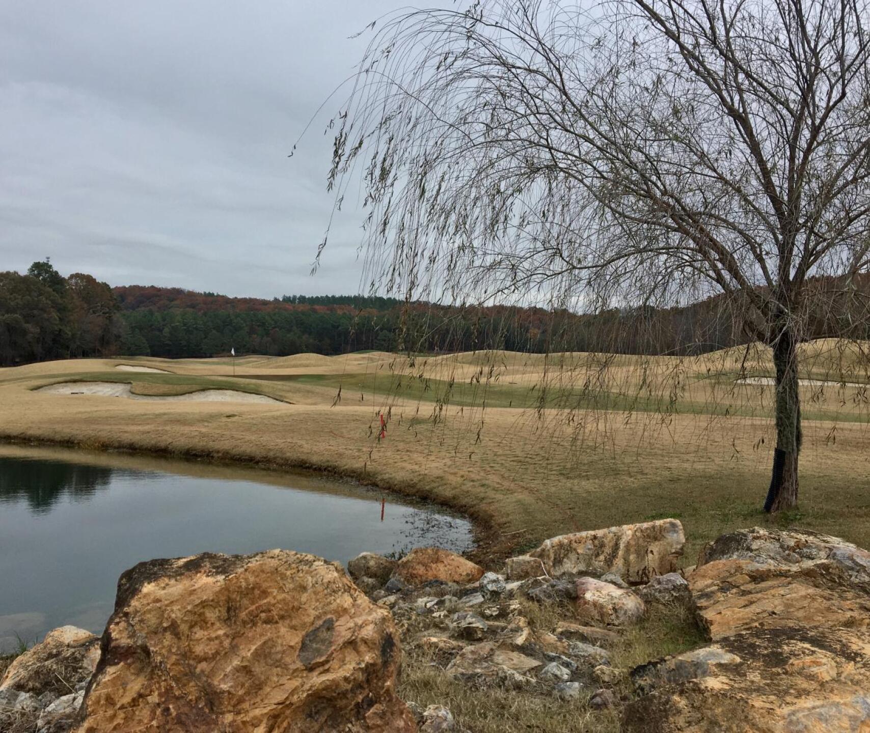 Par-5 ninth green (Photo submitted by BrandonWebb on 11/14/2019)