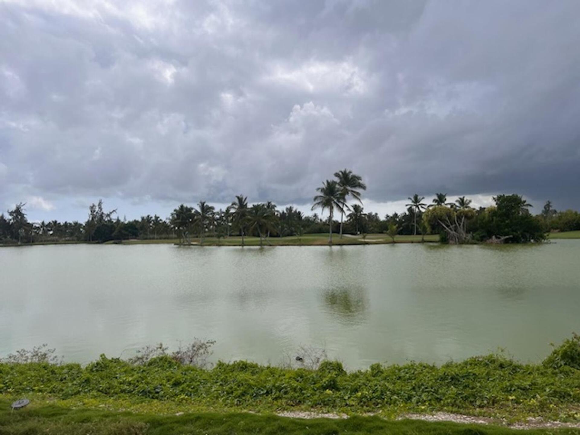 (Photo submitted by wc2022 on 03/01/2024)