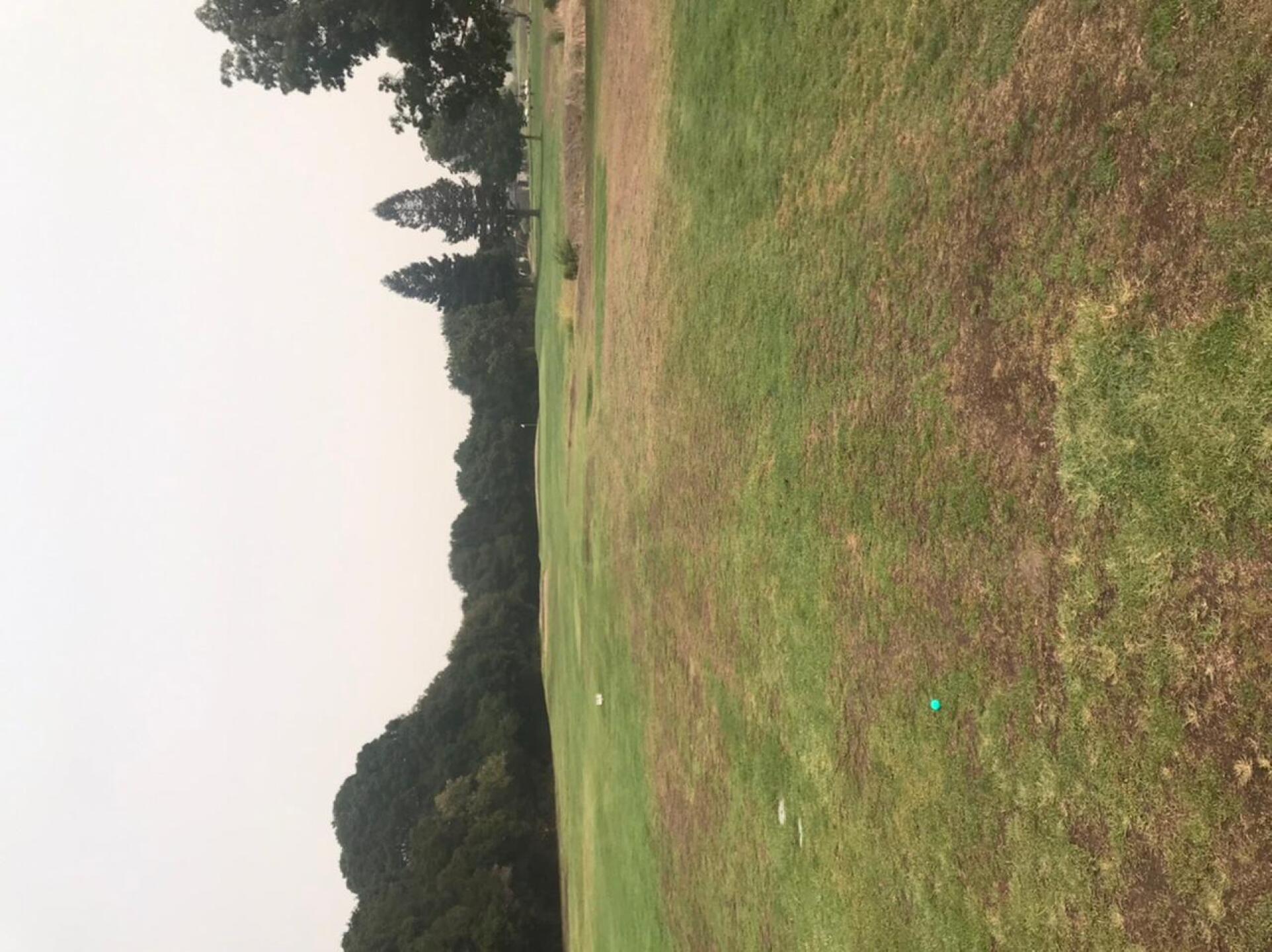 Fairway (Photo submitted by Rohlstrom on 09/11/2020)
