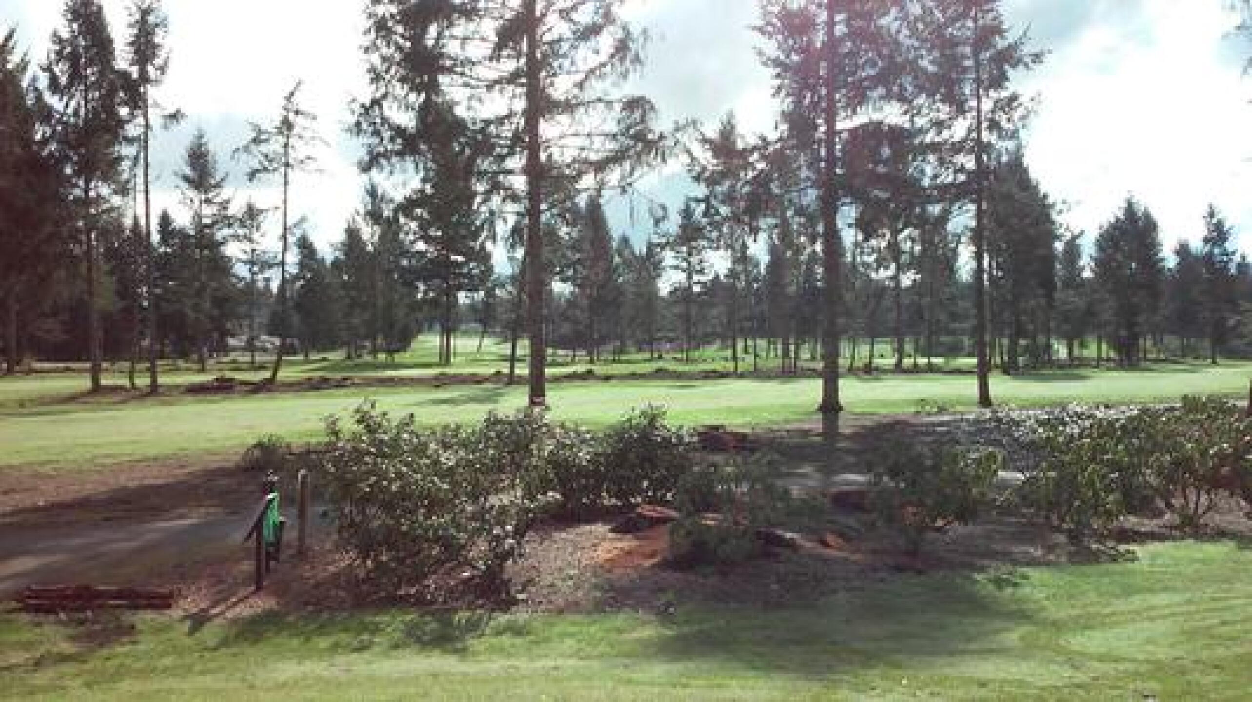 Where did the trees go? (Photo submitted by millerdawg on 04/13/2015)