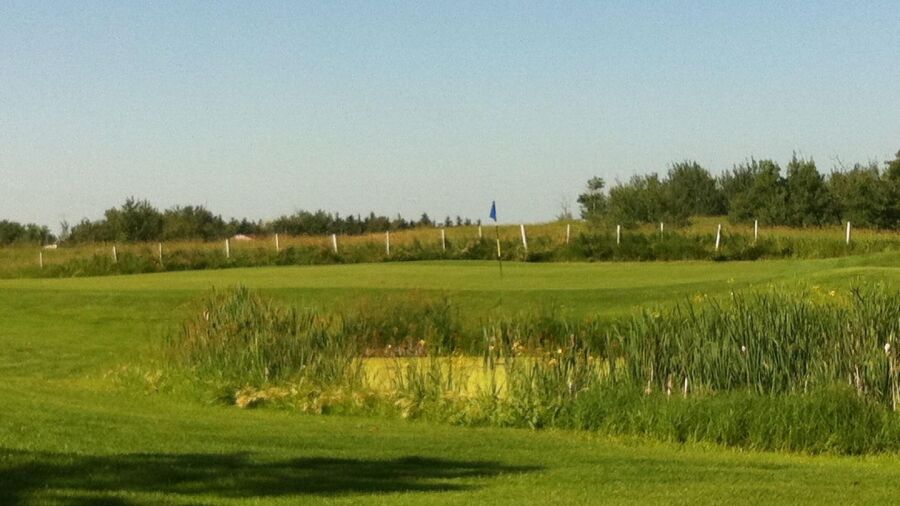 Irma GC: #1