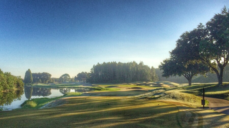 TPC Tampa Bay golf course - No. 8