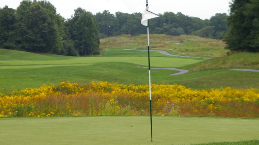 Hampshire Greens G.C. - no. 2