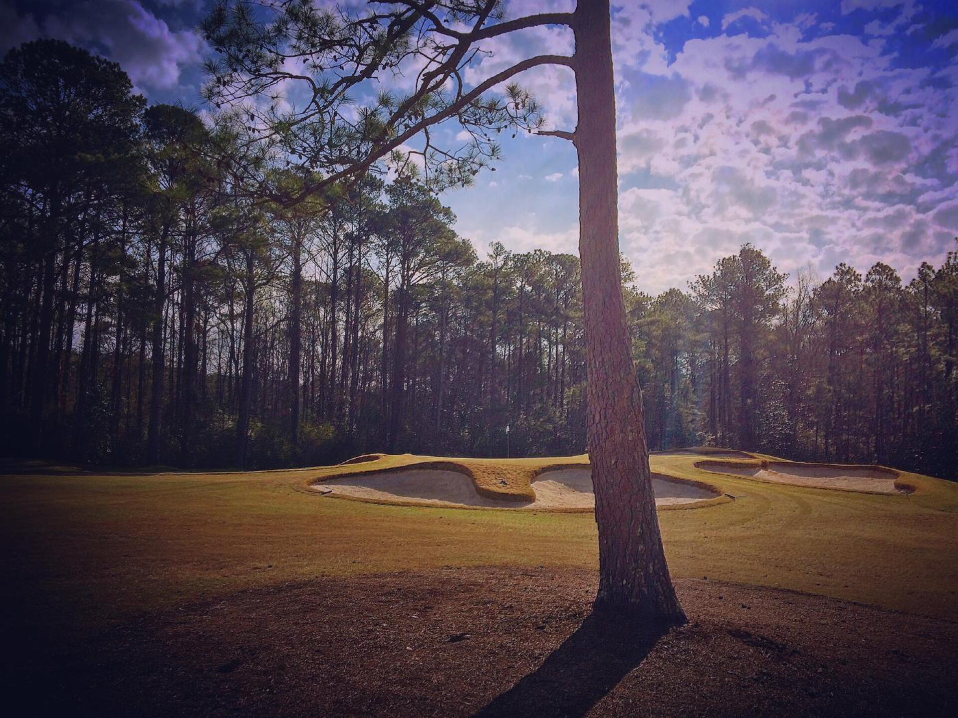 12th green, Mountain View course (Photo submitted by BrandonWebb on 03/20/2017)