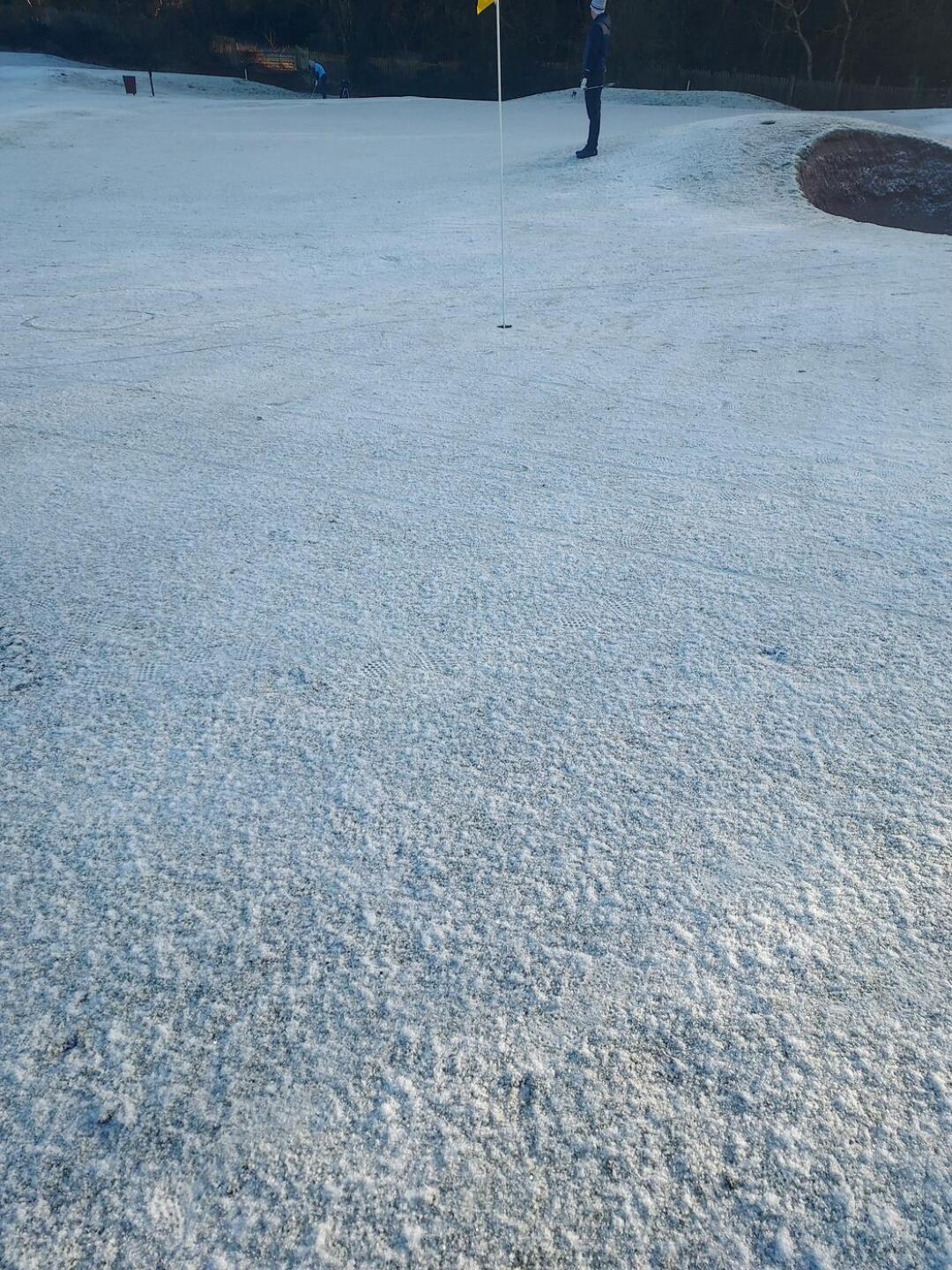 (Photo submitted by u537894328 on 12/13/2022)