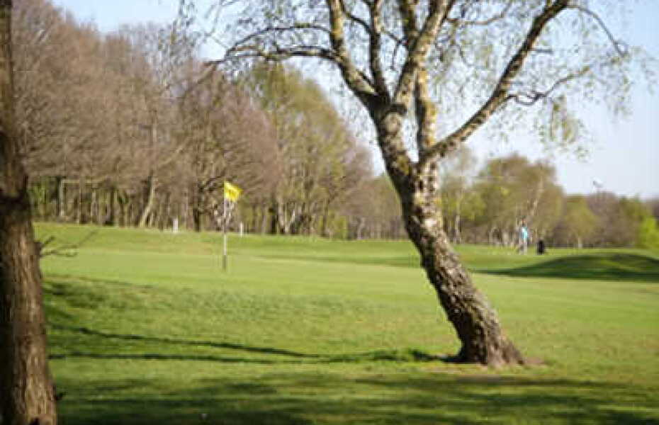 Tinsley Park GC: #9
