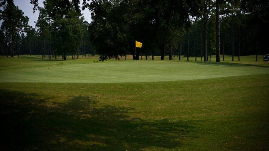 Coastal Pines GC: #17