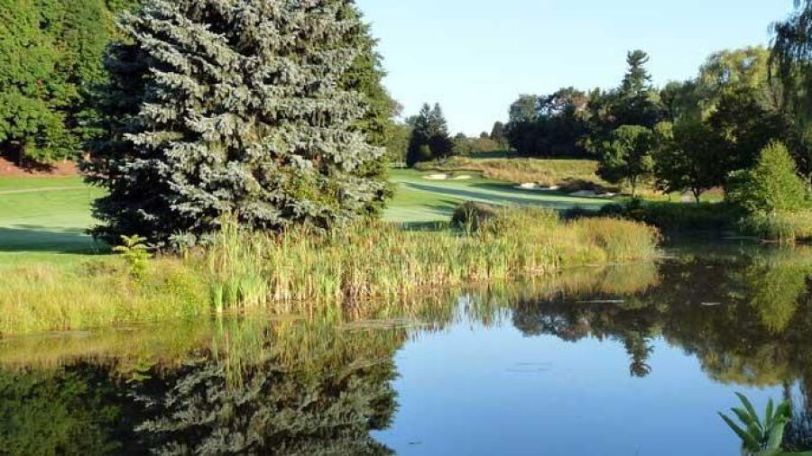 Bayview CC