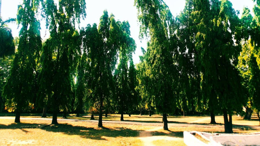 Moubhandar GC
