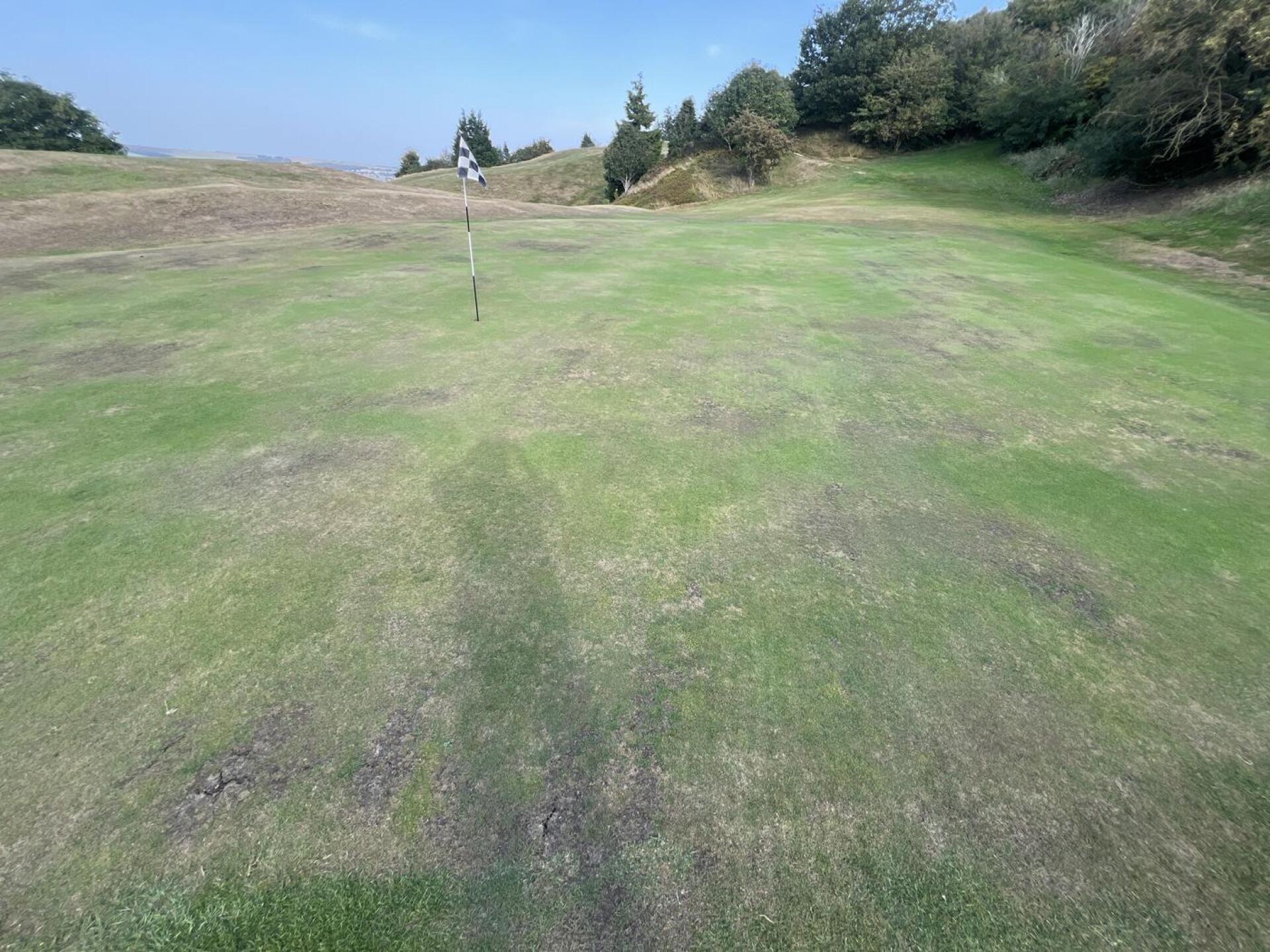 (Photo submitted by mark2331 on 08/13/2025)