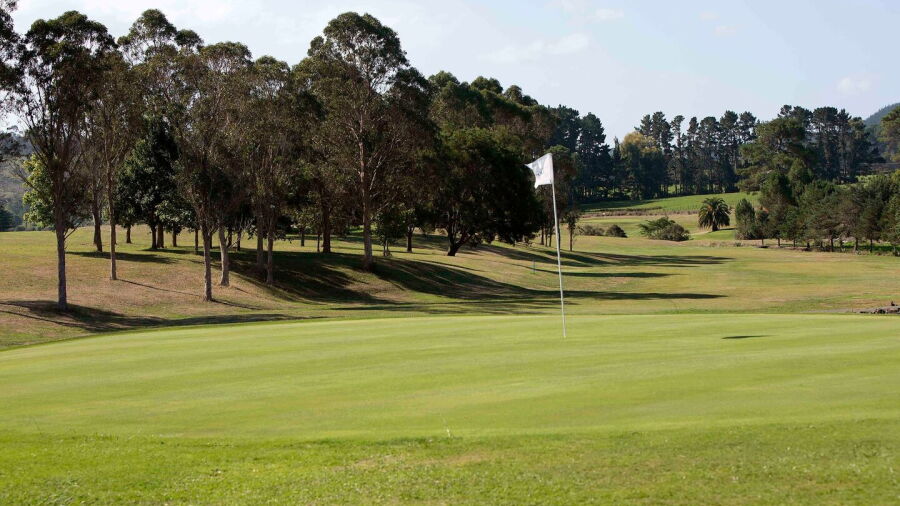 Purangi GCC